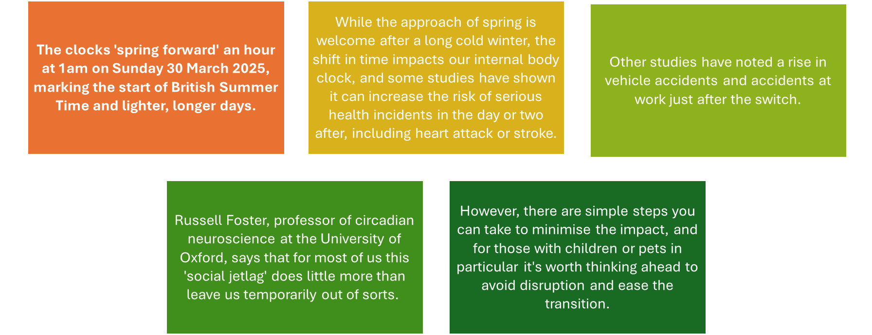 Flashcard Image